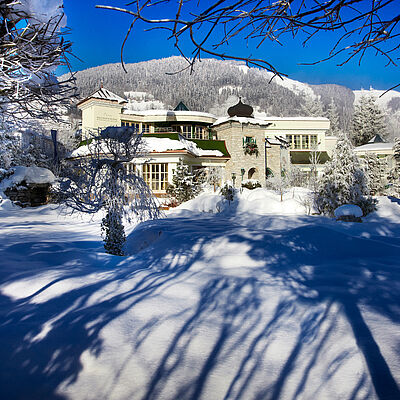 Garten im Winter 