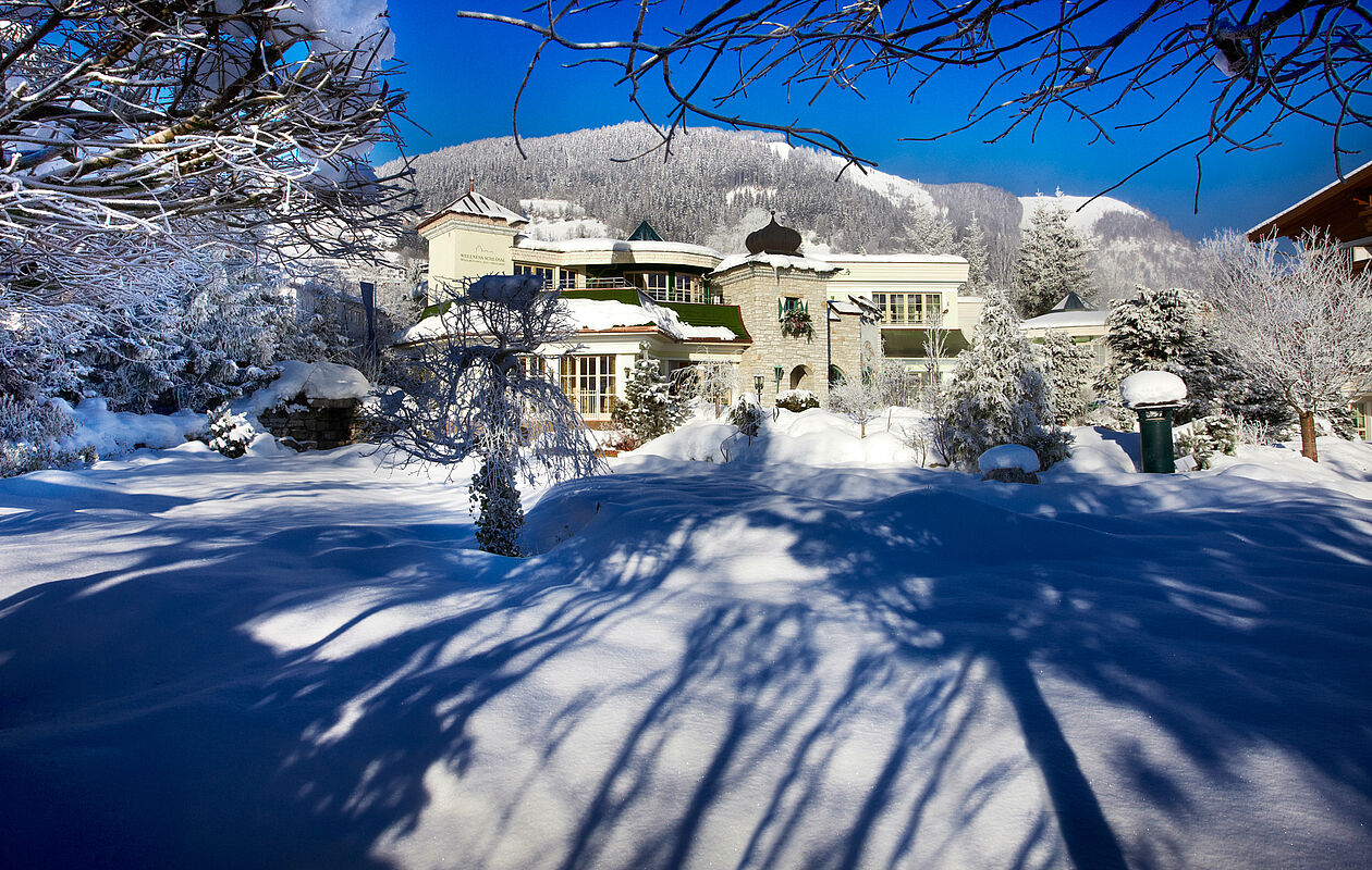 Garten im Winter 